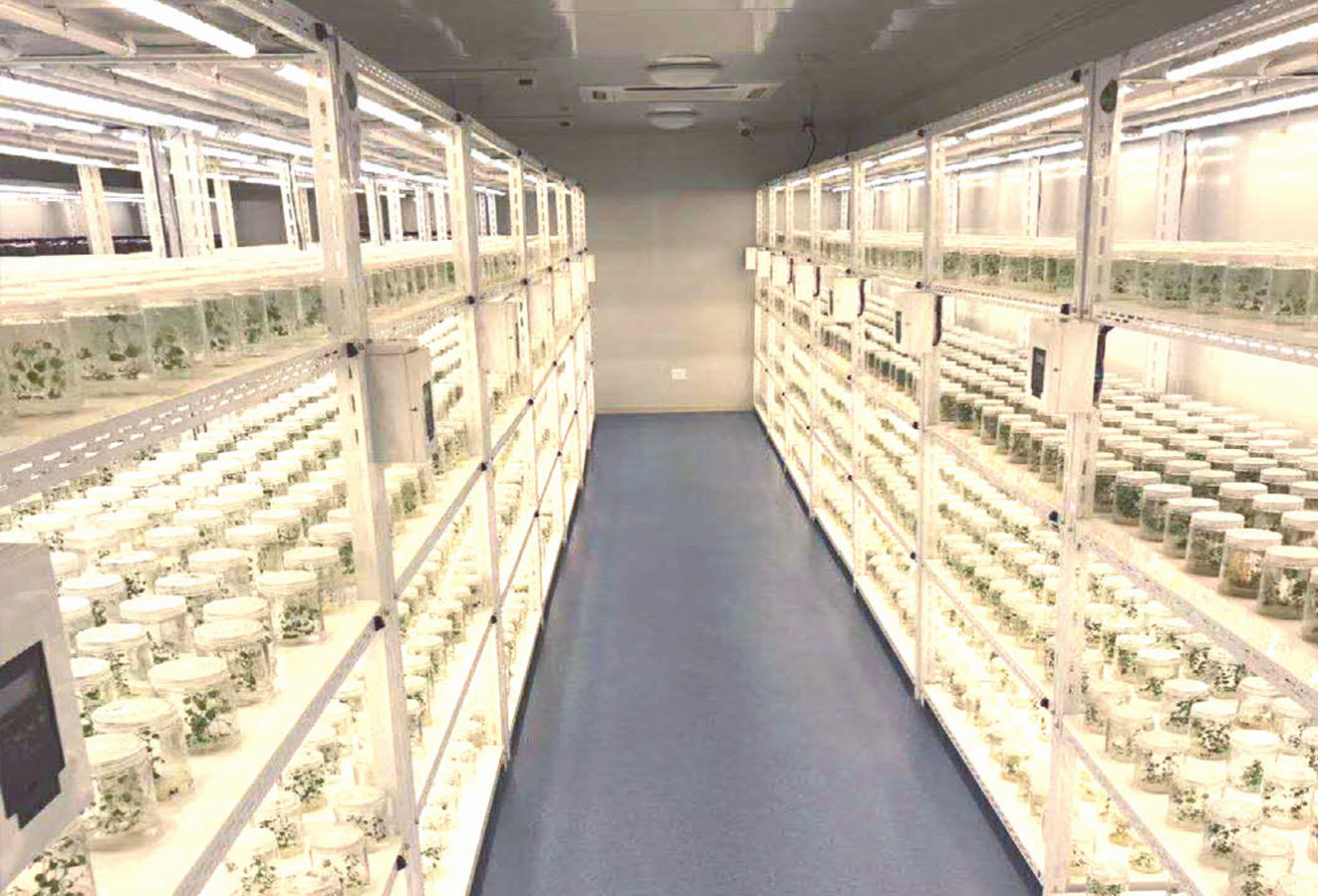 成品人视频免费看100部